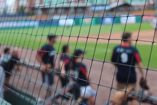 网球赛场焦点！日本队对阵德国队，球星闪耀，全场焦点无人能挡